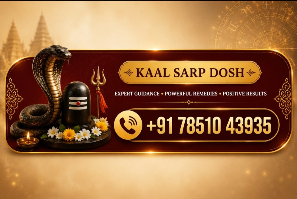 Online Kundli consultation with Astro Rishi